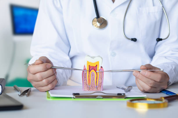 Best Tooth Infection Emergency Dentist  in Romancoke, MD